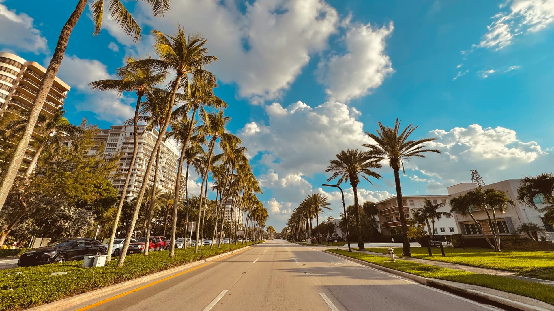 Lush street lined with palm trees and historic buildings in Coconut Grove