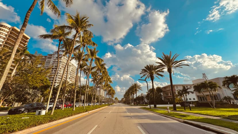 Lush street lined with palm trees and historic buildings in Coconut Grove