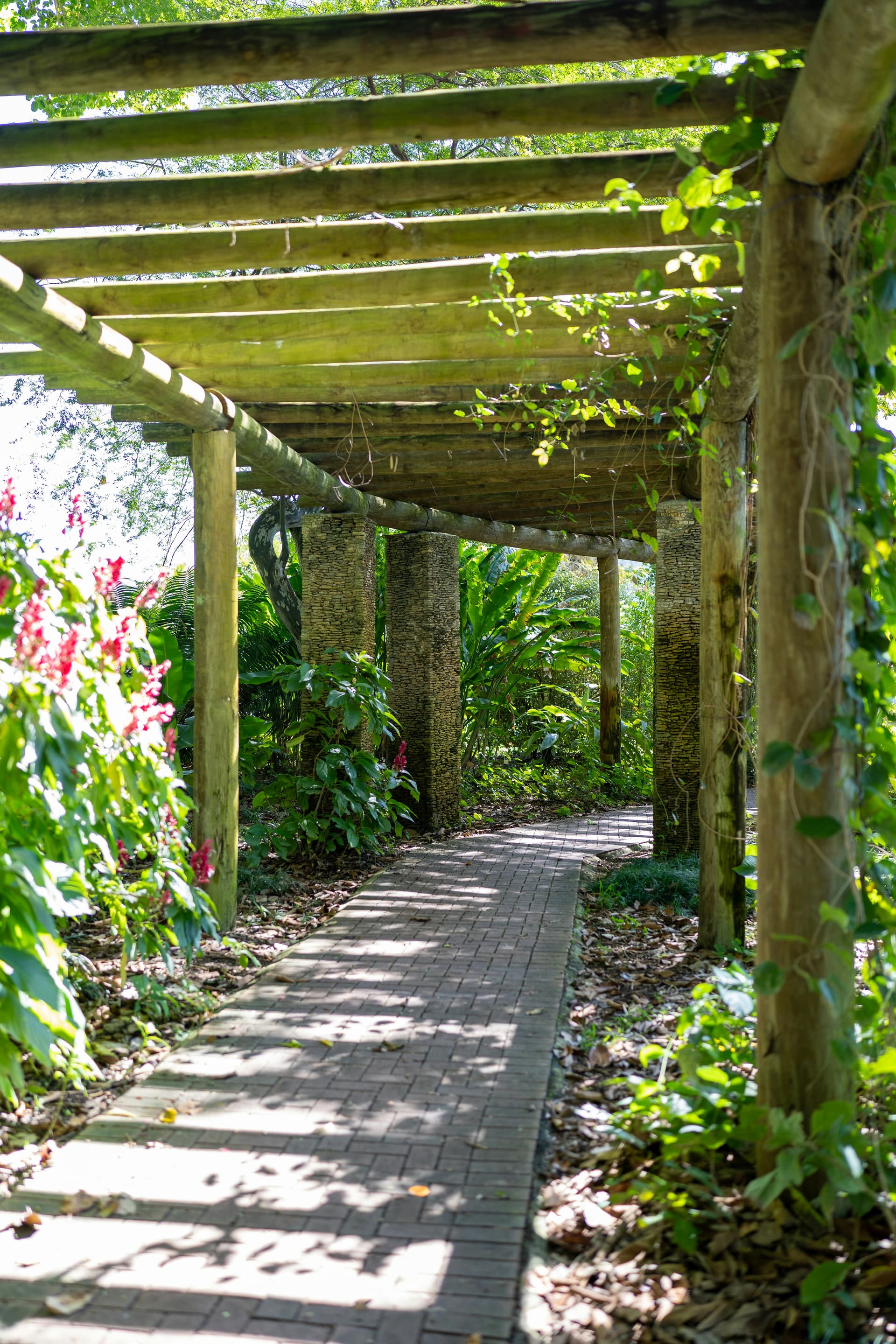 A wooden walkway surrounded by lush tropical greenery in Coral Gables