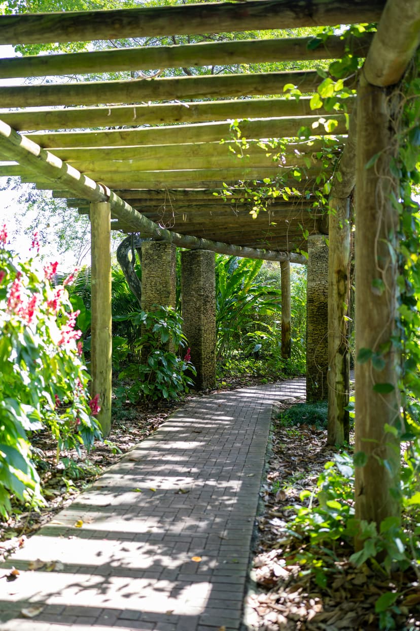 A wooden walkway surrounded by lush tropical greenery in Coral Gables