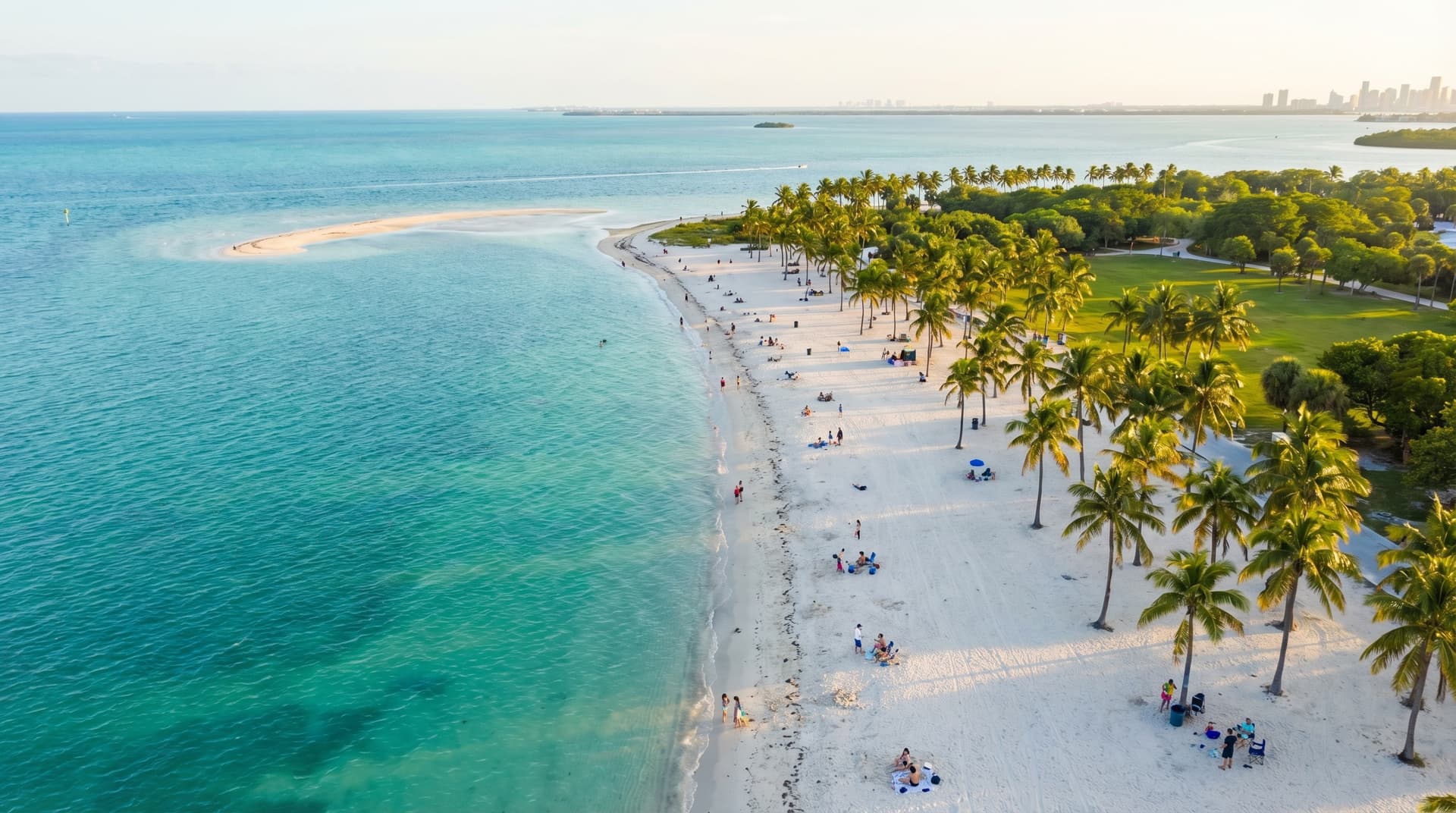 Wide aerial view of Crandon Park Beach on Key Biscayne showing turquoise calm shallow water, white sand beach lined with coconut palm trees, families enjoying the shore, and the Miami skyline in the distance at golden hour