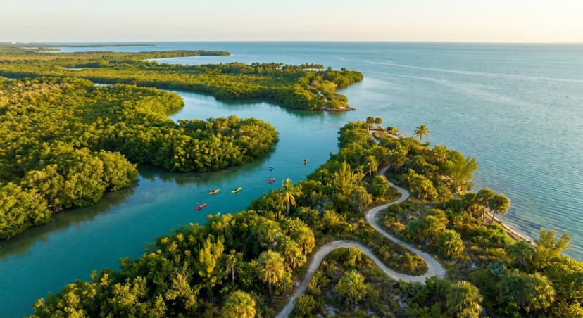 Aerial view of Oleta River State Park in North Miami Beach showing lush green mangrove forest meeting turquoise Biscayne Bay waters with kayakers paddling through a calm mangrove channel and a mountain bike trail winding through tropical vegetation in golden morning light