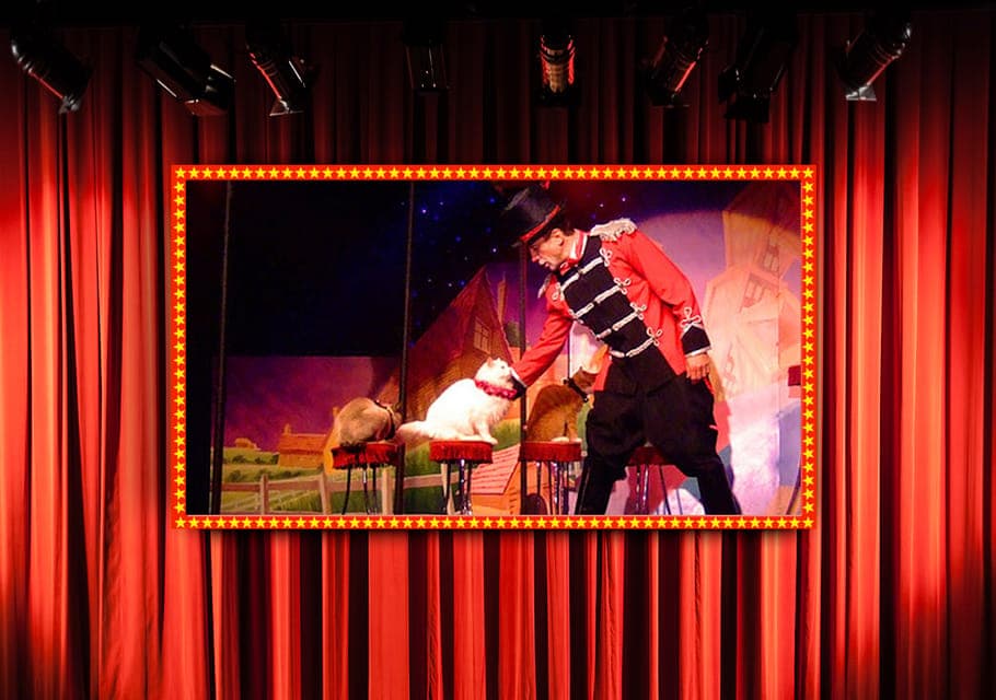 75-Minute Popovich Comedy Pet Theater in Las Vegas Gallery Image 2