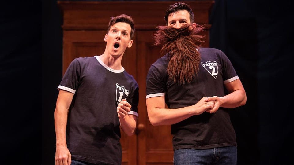 Las Vegas: Potted Potter - The Unauthorized Harry Experience Gallery Image 2